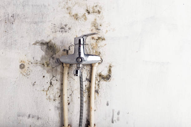 Best Water Damage Restoration  in Moreno Valley, CA