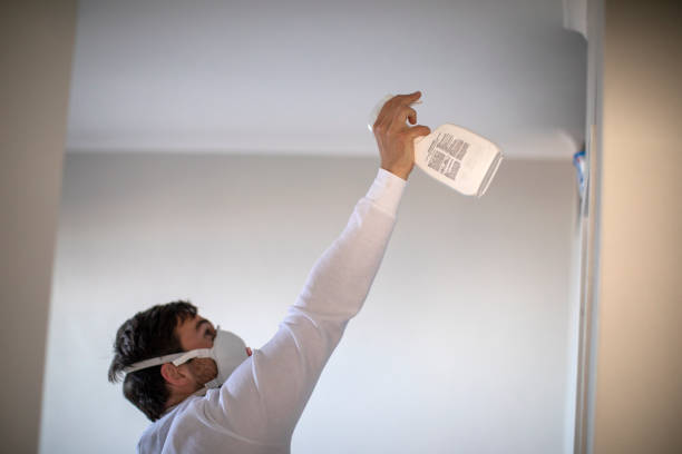 Best Emergency Mold Removal  in Moreno Valley, CA