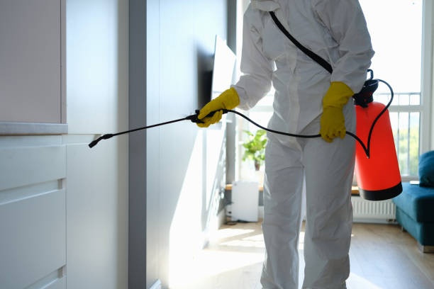 Best Mold Damage Repair  in Moreno Valley, CA