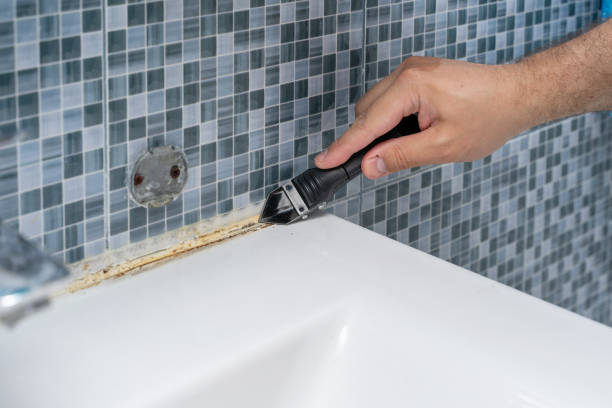 Best Mold Removal and Inspection  in Moreno Valley, CA