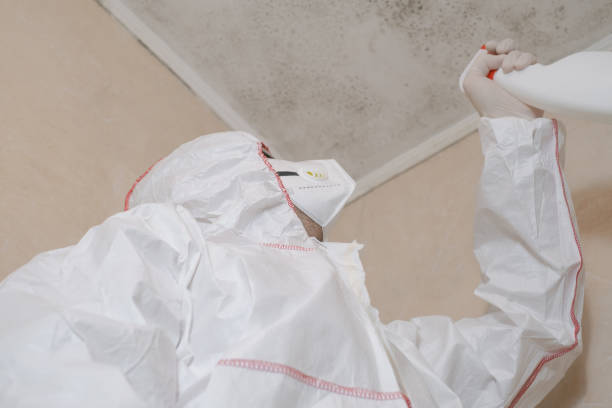 Moreno Valley, CA Mold Removal Company