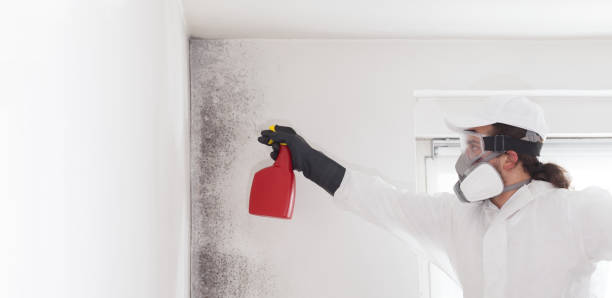 Best Home Mold Removal  in Moreno Valley, CA