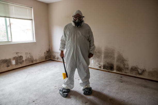 Best Certified Mold Removal  in Moreno Valley, CA